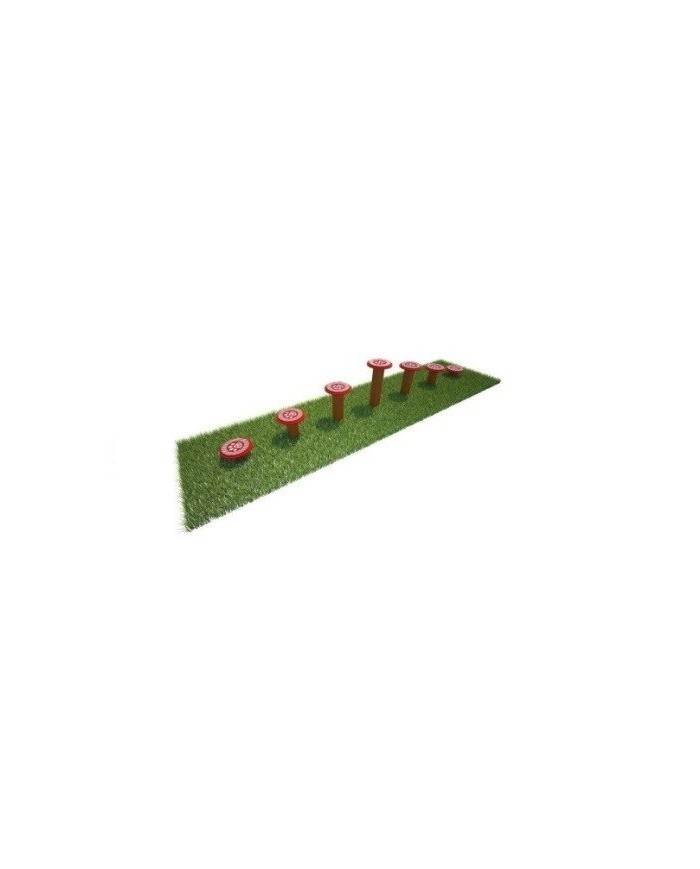 AGD0007 - Agility dog