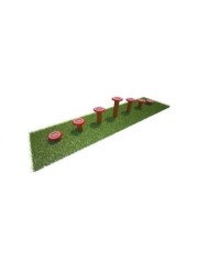 AGD0007 - Agility dog