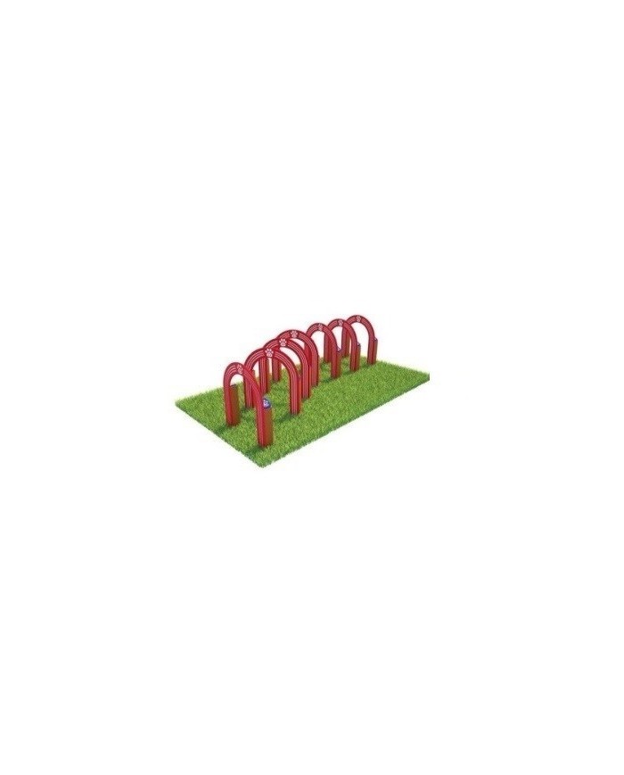AGD0004 - Agility Dog