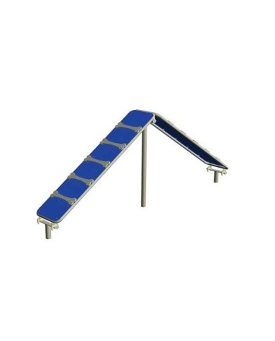 AGD0022 - Agility Dog